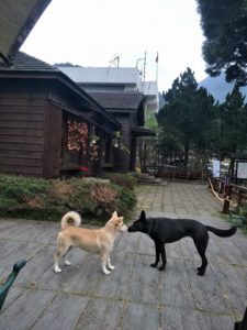 李董果醋莊園，純釀，果醋